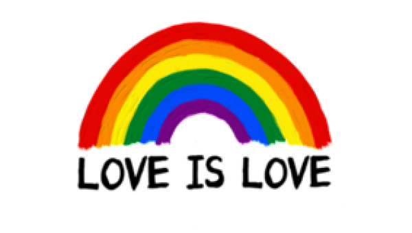 Tweede Kamer bespreekt verbod op lhbti+ conversie handelingen